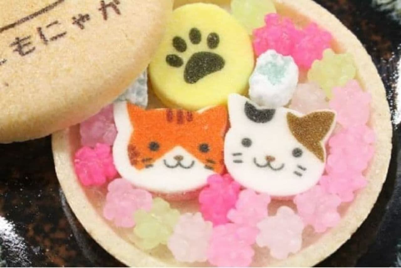 Sweets Cat Emon "Cat Monyaka"