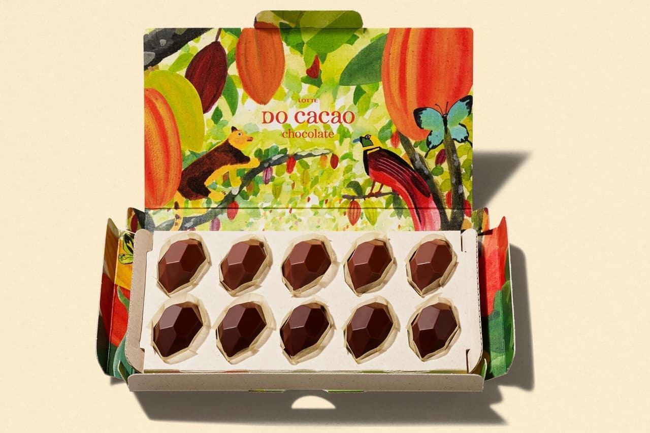 Lotte "DO Cacao chocolate"