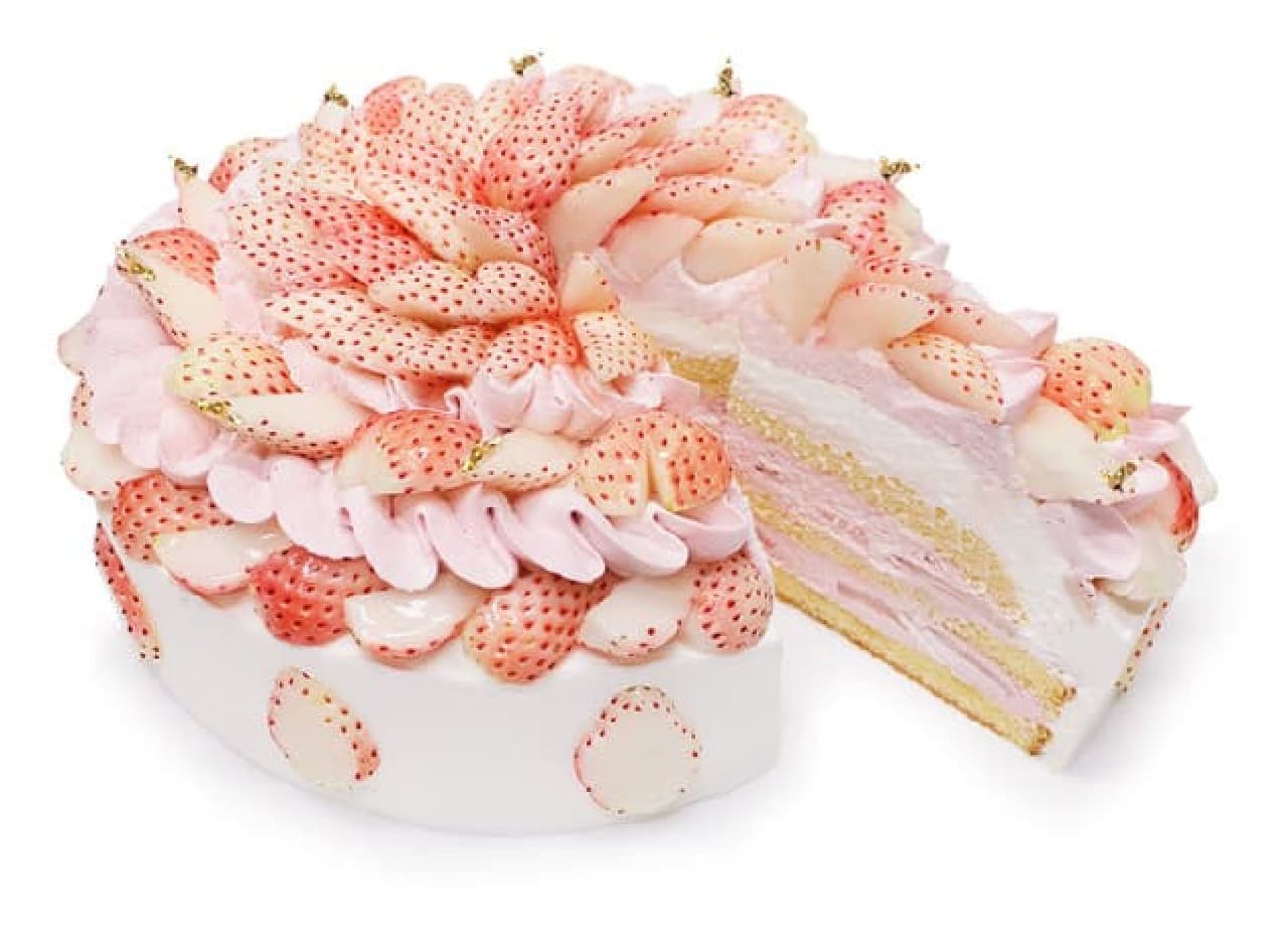 カフェコムサ「白いちごとラズベリークリームのショートケーキ」