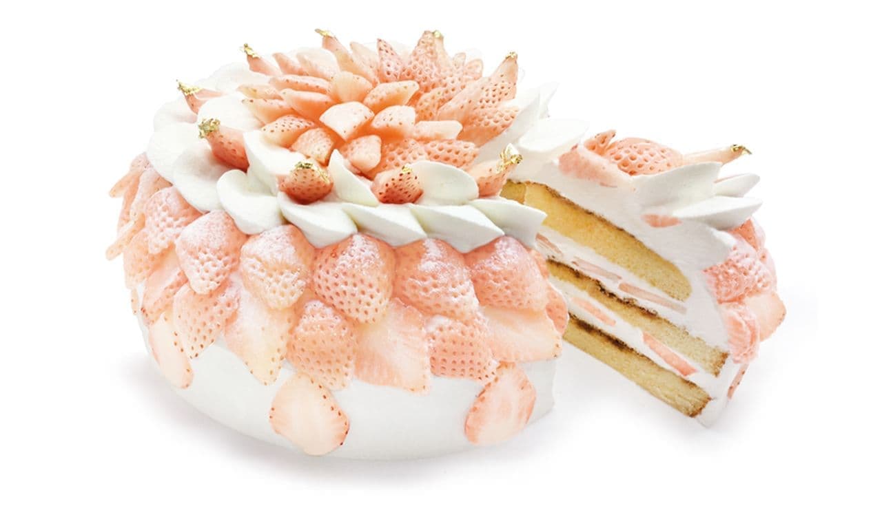 カフェコムサ「白いちごのホワイトティラミスショートケーキ」