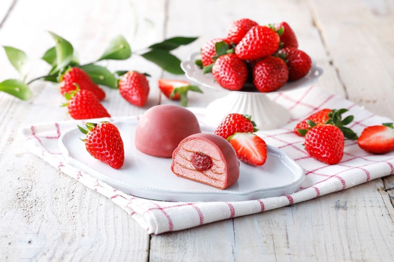 Ishiya Seika "Maruyama Kuchen with Chocolate-covered Strawberries