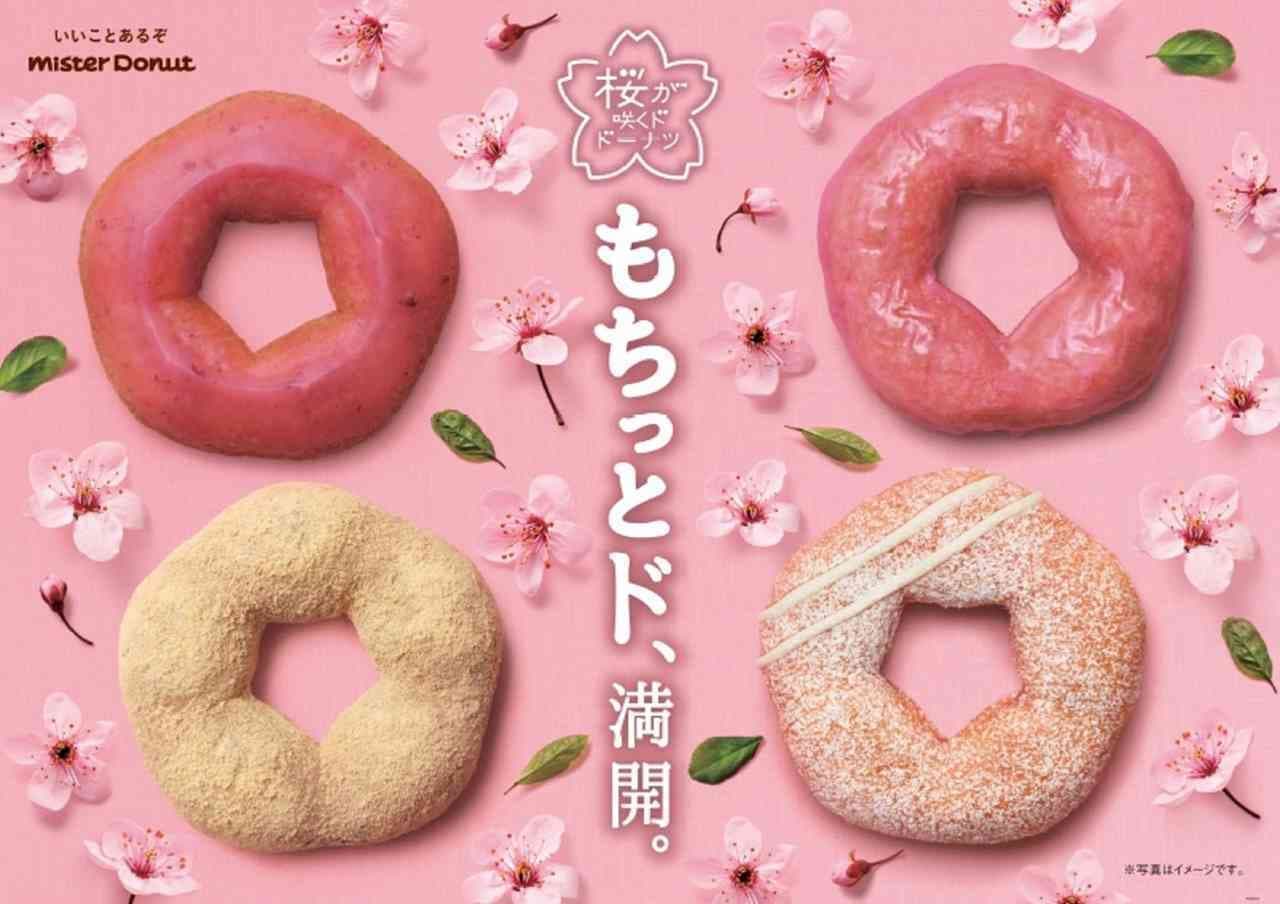 Misd: "Sakura Mochitto Donut, Sakura An