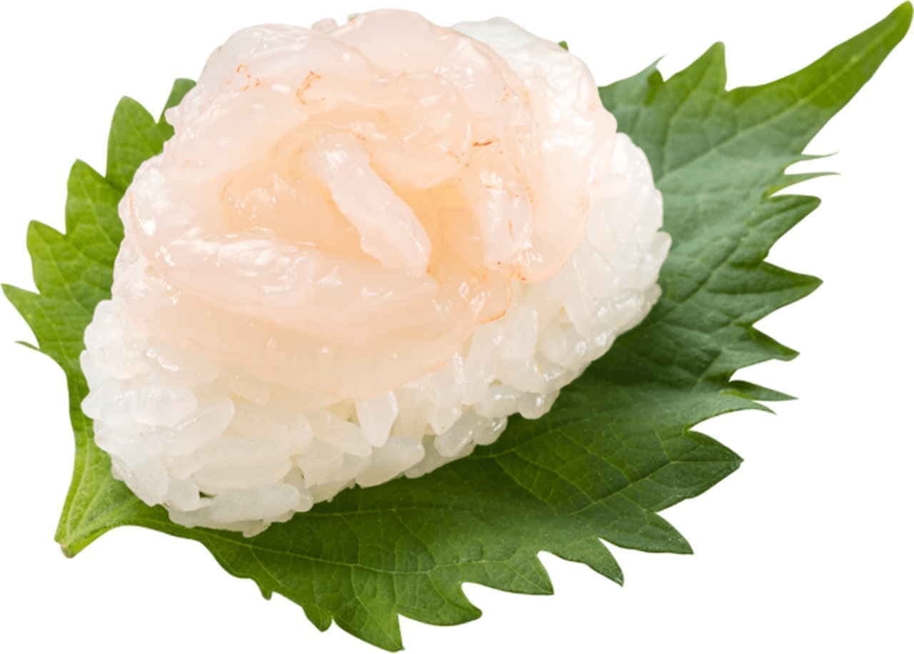 かっぱ寿司 “春の新あっぱれネタ”
