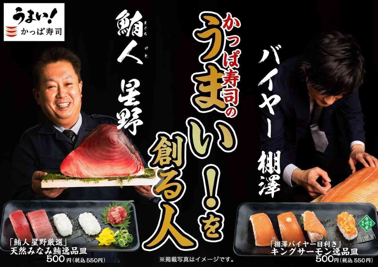 かっぱ寿司 “天然みなみ鮪”“キングサーモン” フェア