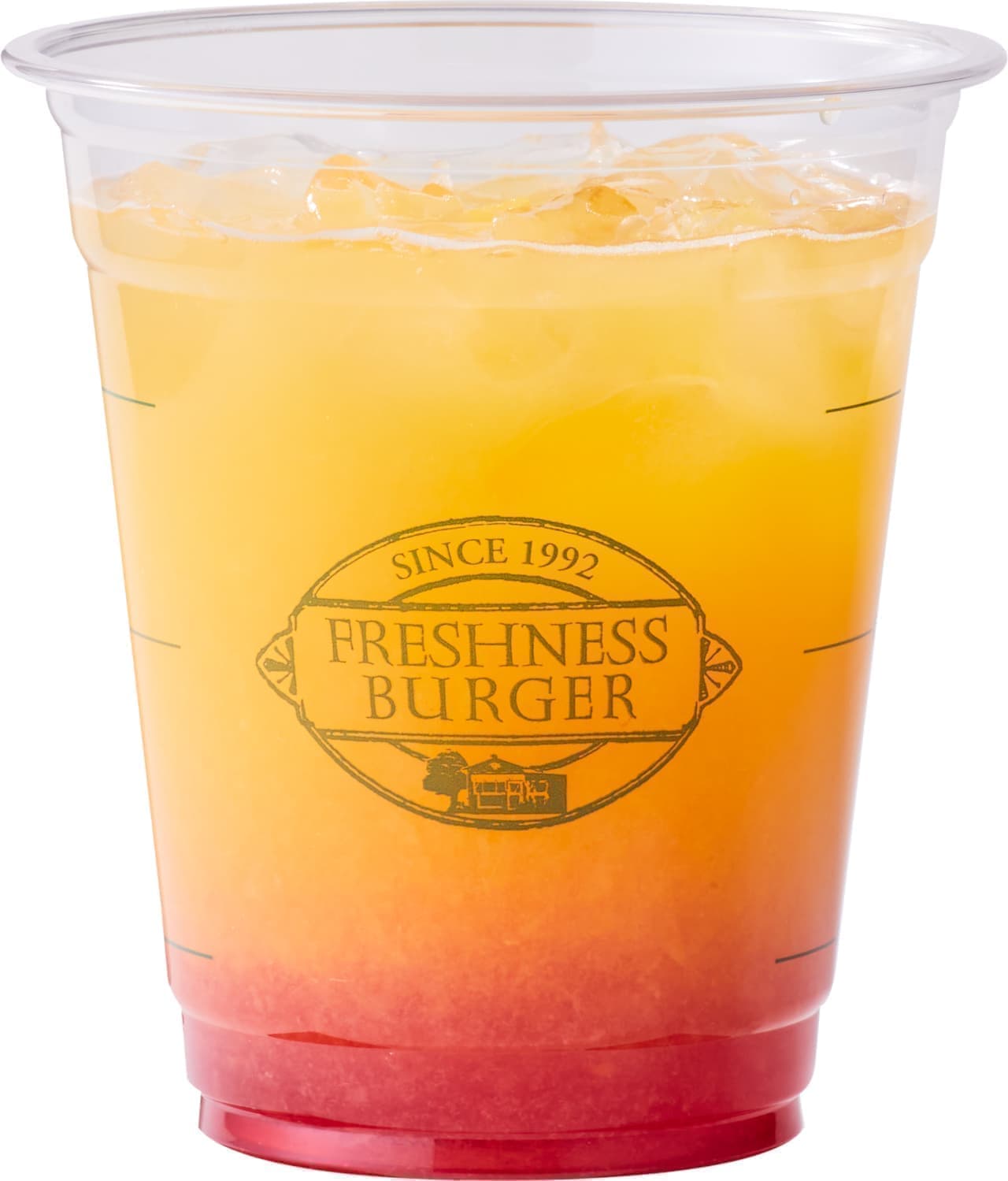 Freshness Burger "Orange Rescue"