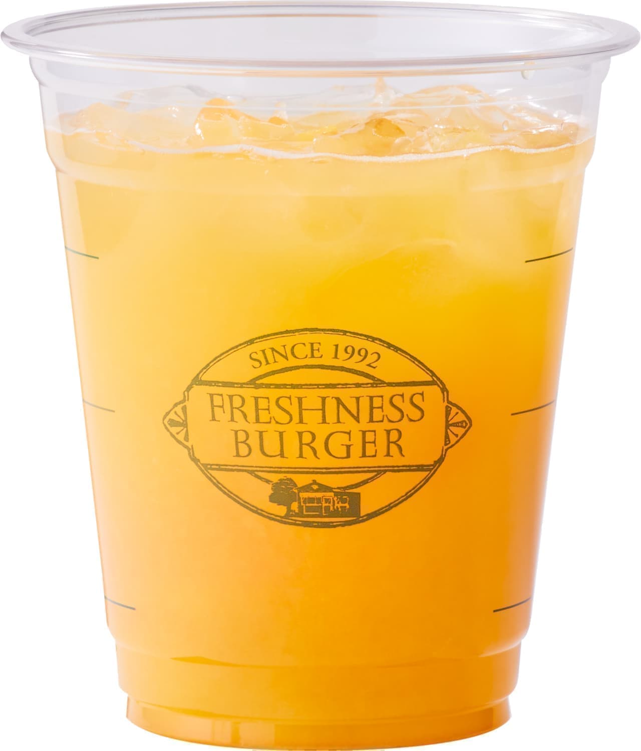 Freshness Burger "Orange Rescue"