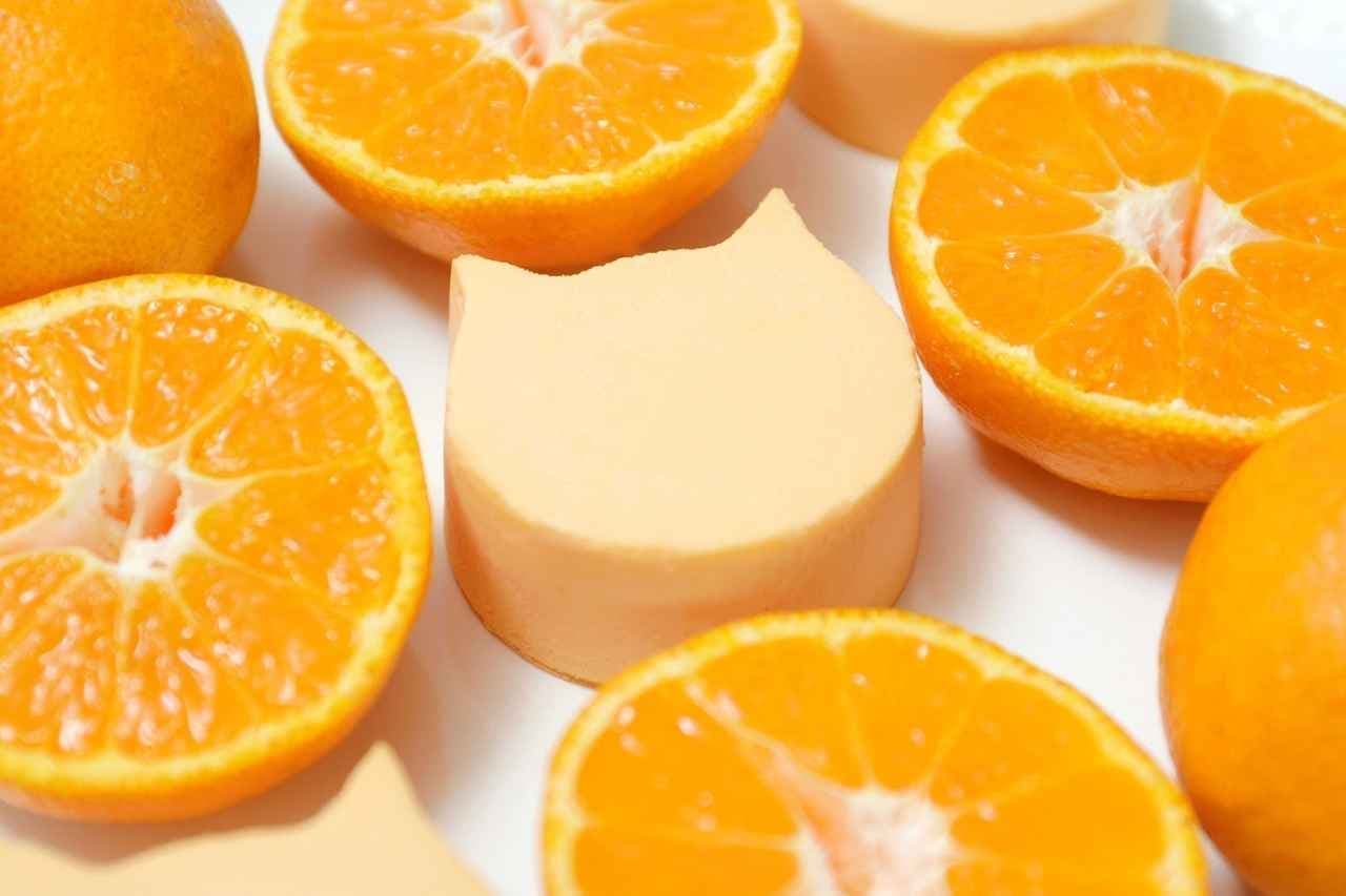 ねこねこチーズケーキ「にゃんチー オレンジ」