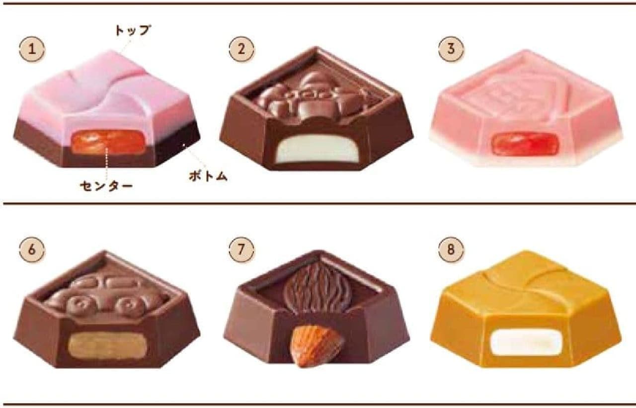 Chiroro Choco Multi Pouch Book Coffee Nougat ver. Special Package