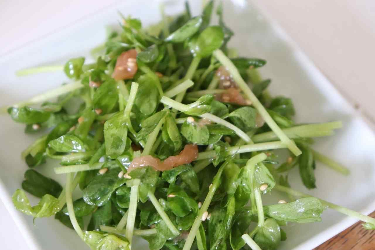 Easy recipe "Ume Plum Salad with Bean Seedlings