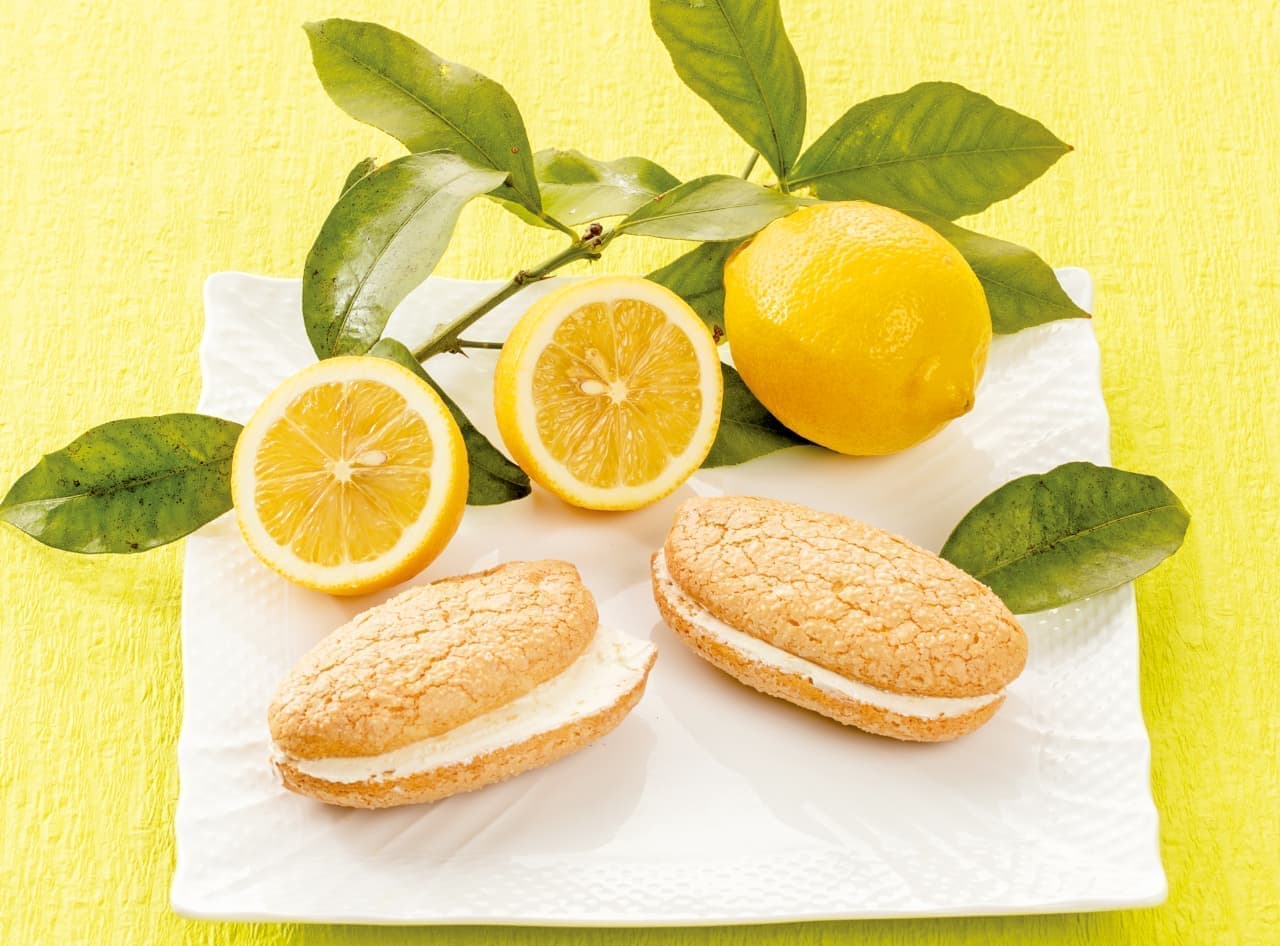 Aoki Shofuan "Lemon Fair