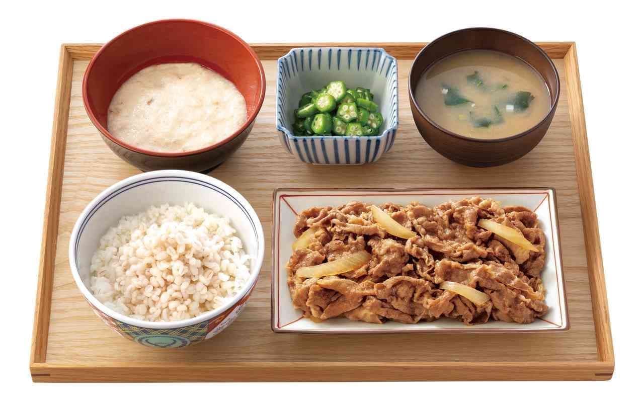 Yoshinoya "Gyuzara Mugitoro Gozen Double Meat Serving