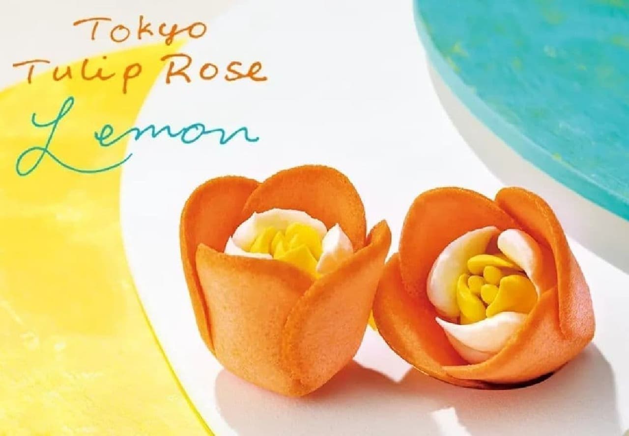 TOKYO Tulip Rose "Tulip Rose Lemon".