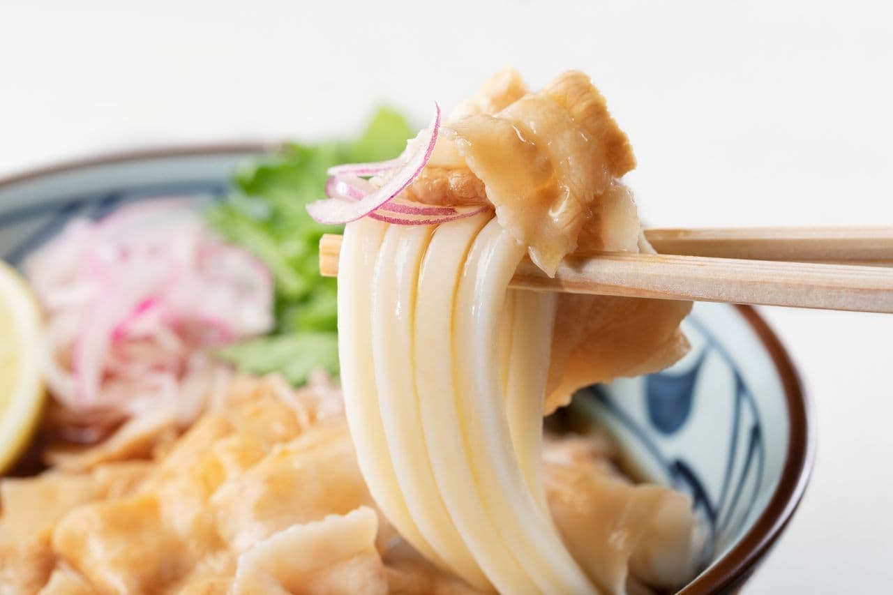 Marugame Seimen "Kokumami Pork Shabu Shabu Udon Noodle
