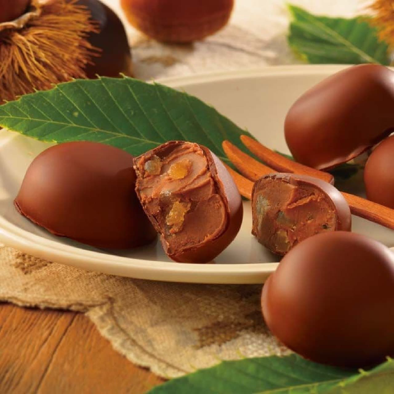 Lloyds "Chestnut Chocolat