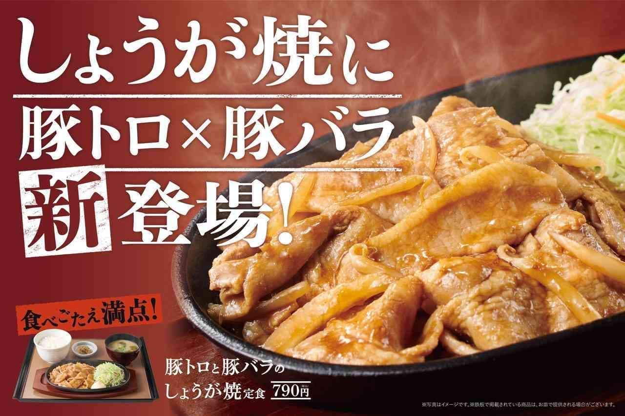 Yayoiken "Ginger-roasted pork tenderloin and pork belly set meal