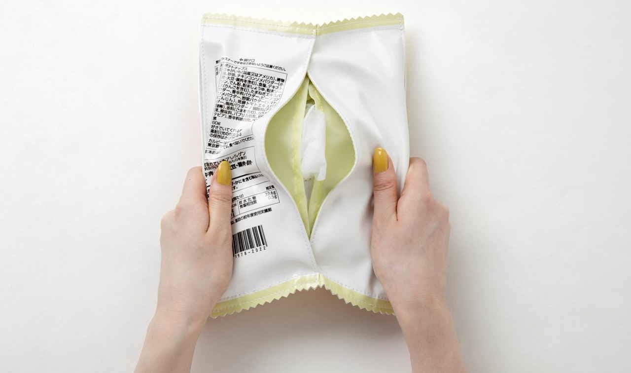 Calbee Potato Chips Pouch that doubles as a tissue case BOOK