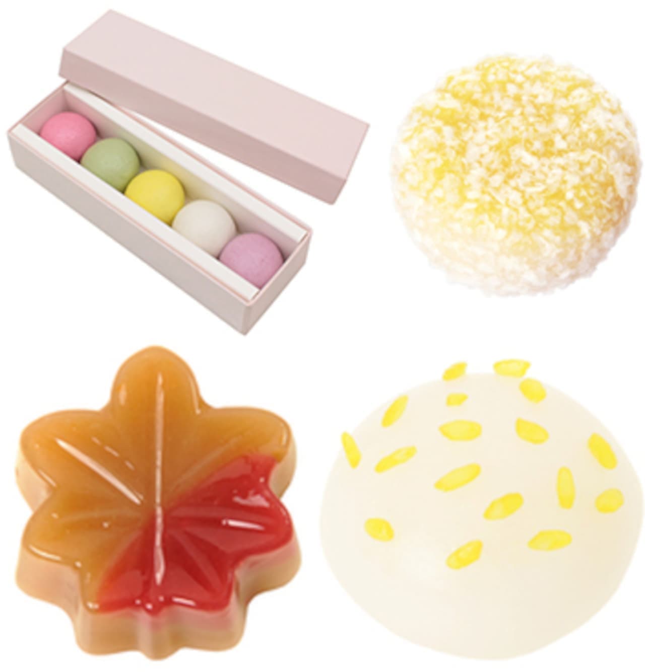Four kinds of Toraya fresh confections
