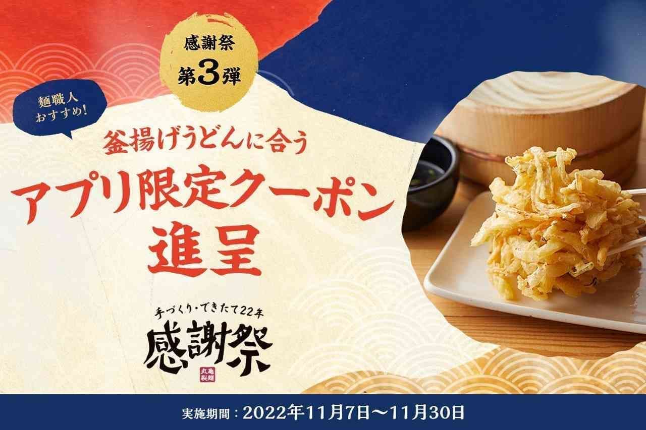 Handmade and freshly made for 22 years Marugame Seimen Thanksgiving Festival