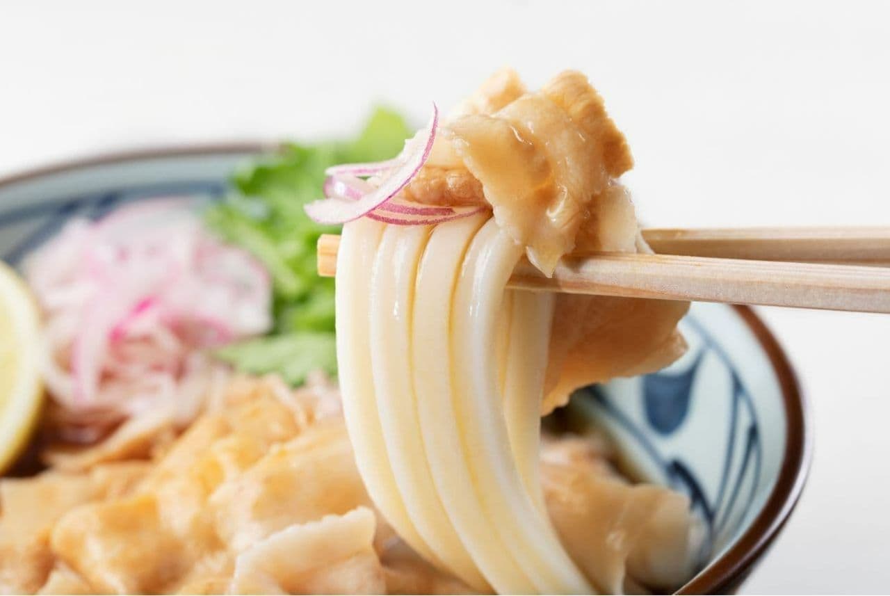 Marugame Seimen "Kokumami Pork Shabu Shabu Udon Noodle