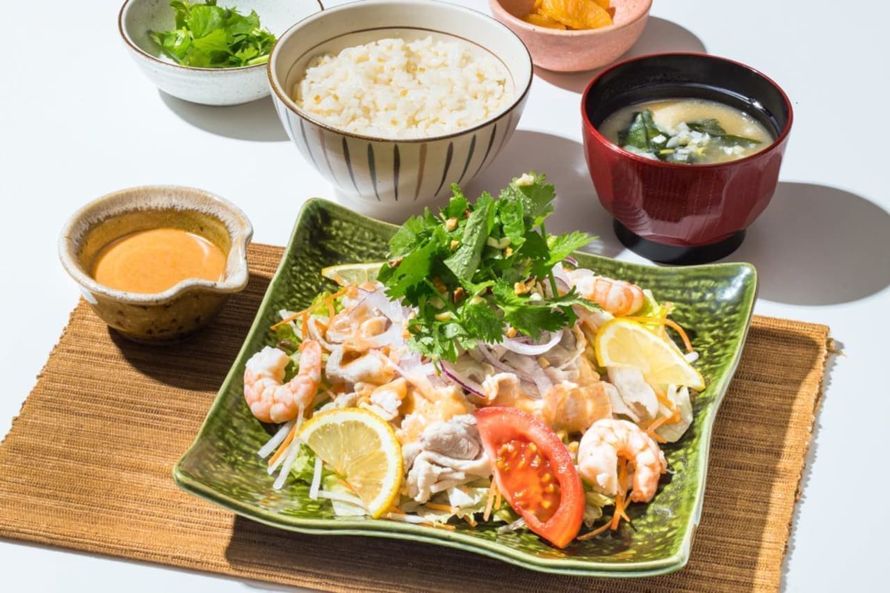 Ootoya "~Pork Shabu Ethnic Salad with Tom Yum Kung Dressing and Ginger Rice