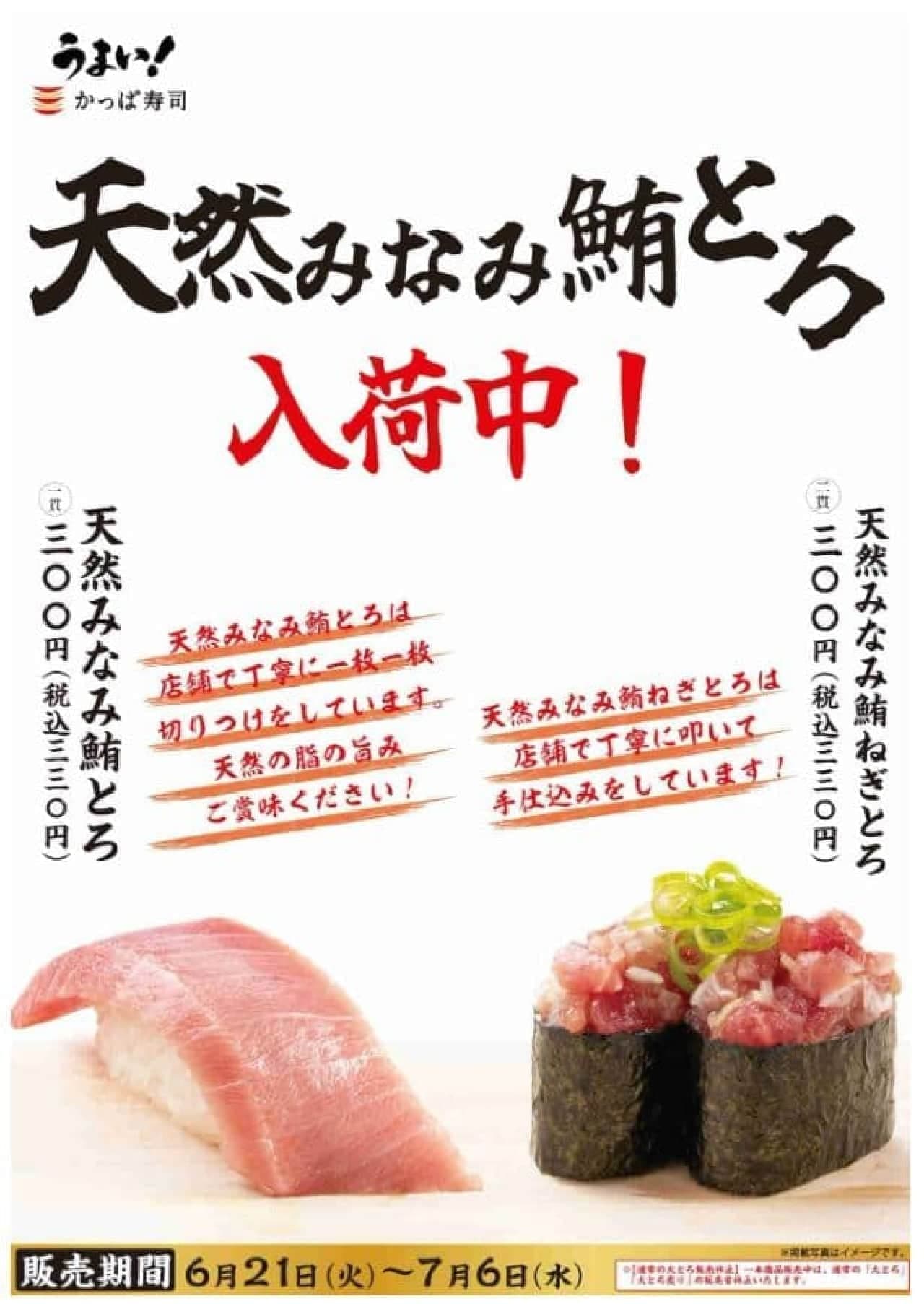 Kappa Sushi "Natural Minami Tuna Tuna Tuna" and "Natural Minami Tuna Negi-Tuna