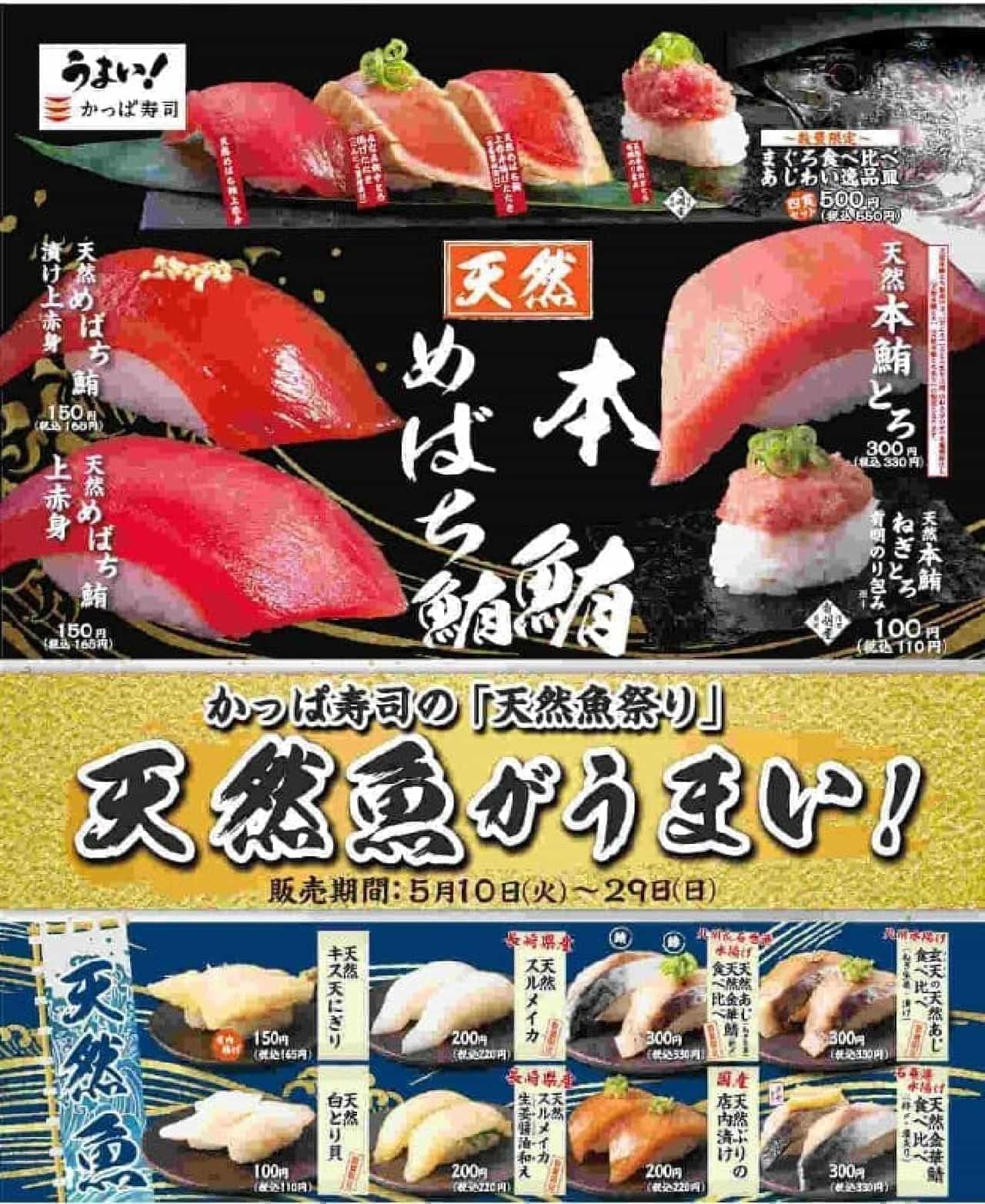 かっぱ寿司「天然魚祭り」