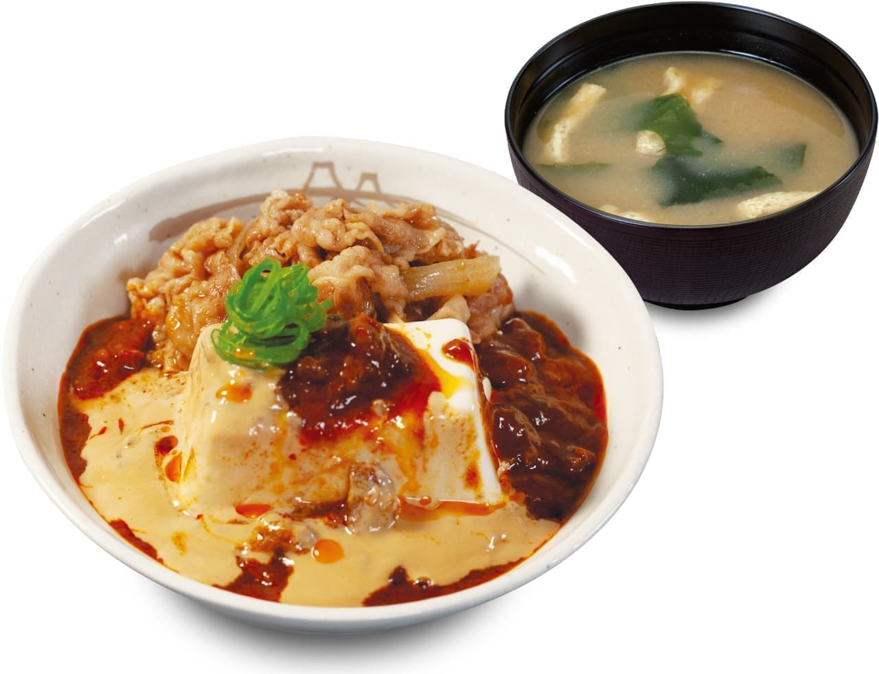 Matsuya "Fuji Tofu with Sesame Sauce and Bean Curd Combo Beef Rice
