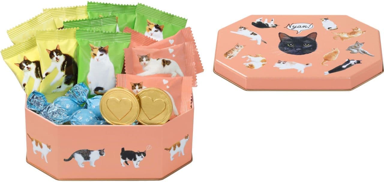 メリーチョコレート 人間用の「猫缶」 中身は魚型の2種のチョコレート 新ブランド「ねこみゃみれ」から