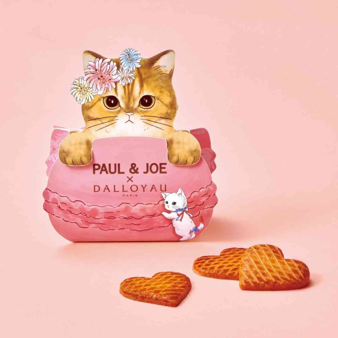 PAUL & JOE x Dalloyo cat design sweets