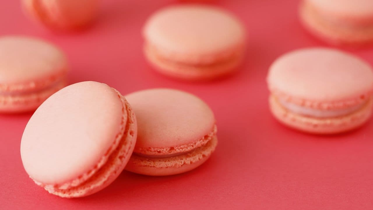 Shiseido Parlor "Macaron Fraise" and "Biscuit Trois" - Perfect White Day Gifts