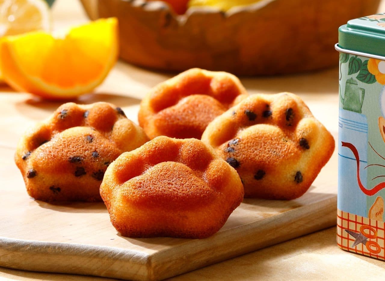 Neko Chef Can Happy" with two kinds of paw-shaped financier, a package with a storybook-like design