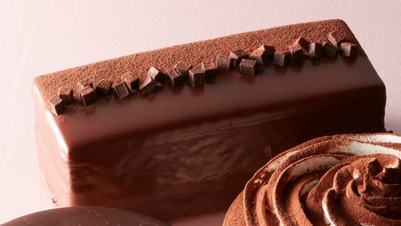 Chateraise "Cake au Chocolat