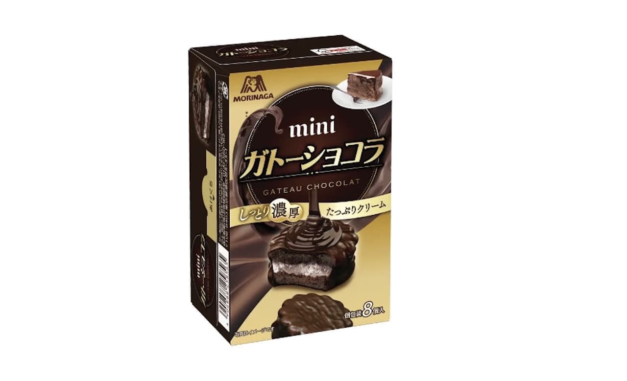 Morinaga "Mini Gateau Chocolat