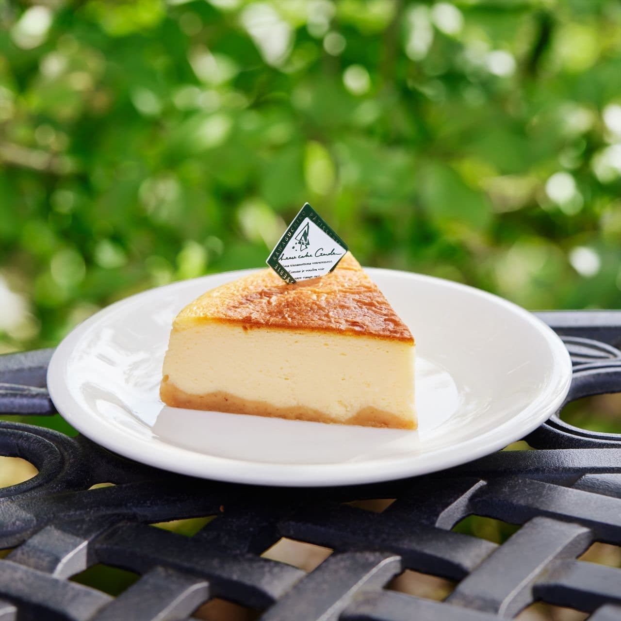 チーズケーキガーデンの「富士の完熟チーズケーキ」