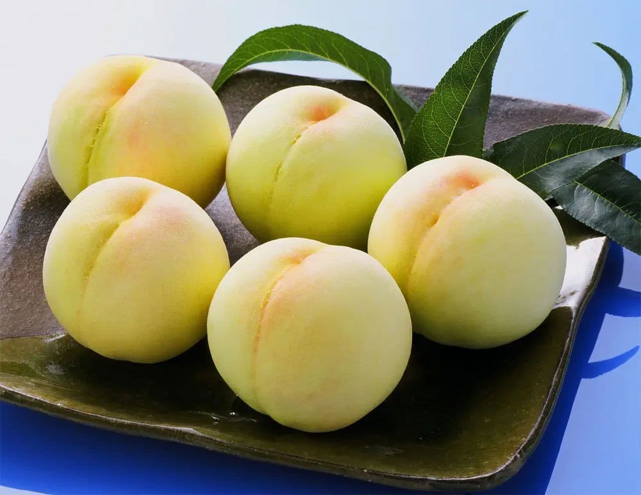 KINOKUNIYA "Okayama Imai Orchard Okayama White Peaches