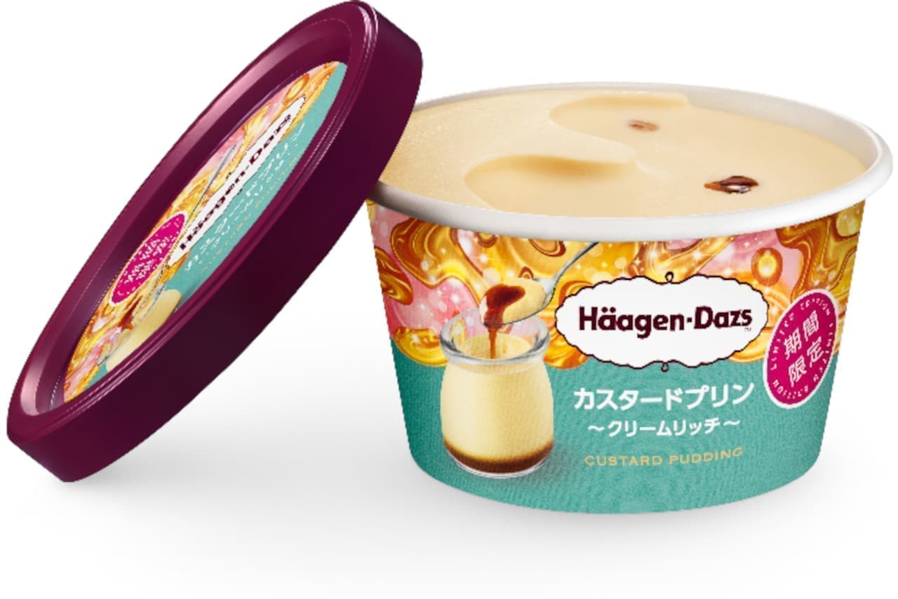 Häagen-Dazs "Custard Pudding - Cream Rich