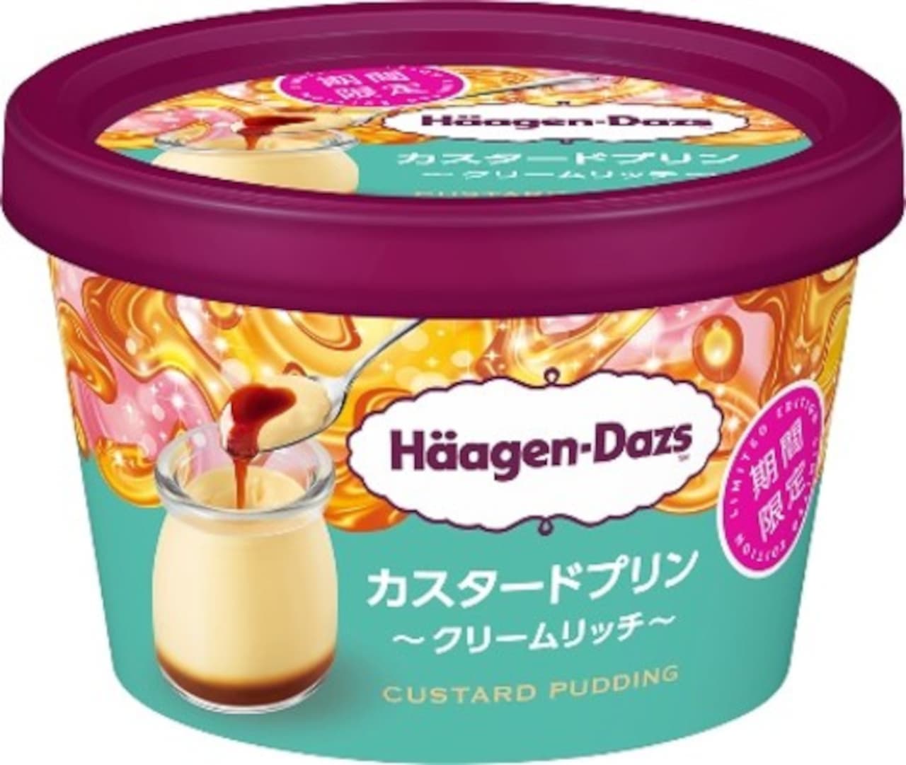 Häagen-Dazs "Custard Pudding - Cream Rich