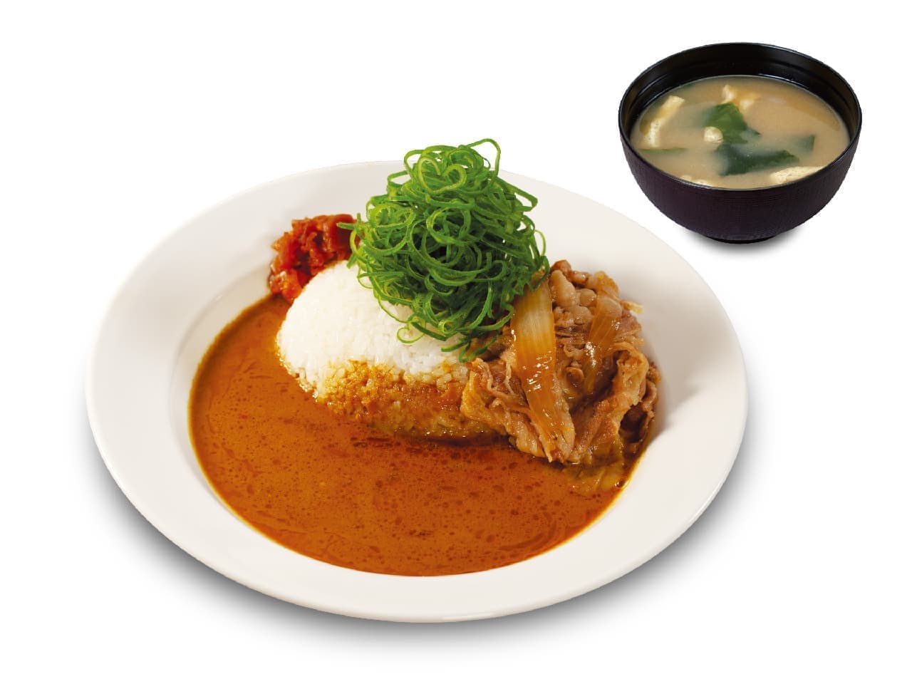 Matsuya "Spice Curry with plenty of green onions