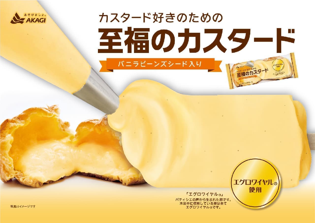 Akagi Nyugyo New Ice Cream Product "Blissful Custard