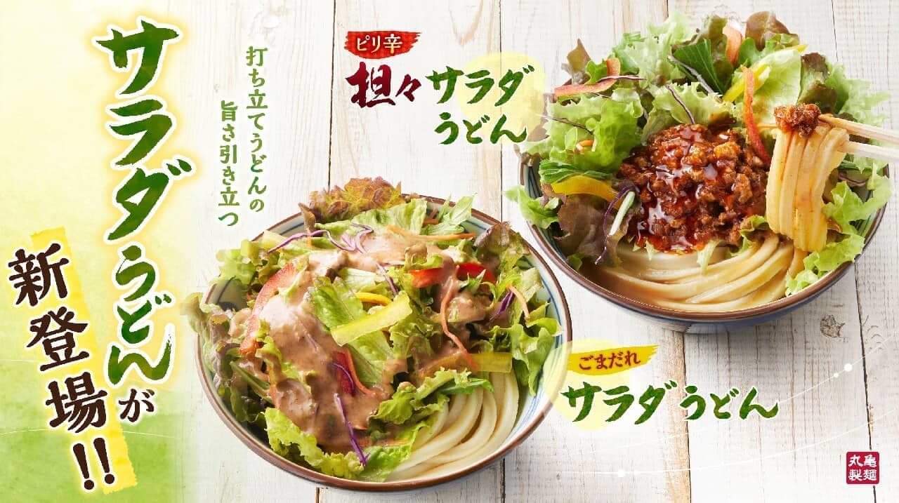 Marugame Seimen "Spicy Tangy Salad Udon" and "Sesame Sauce Salad Udon