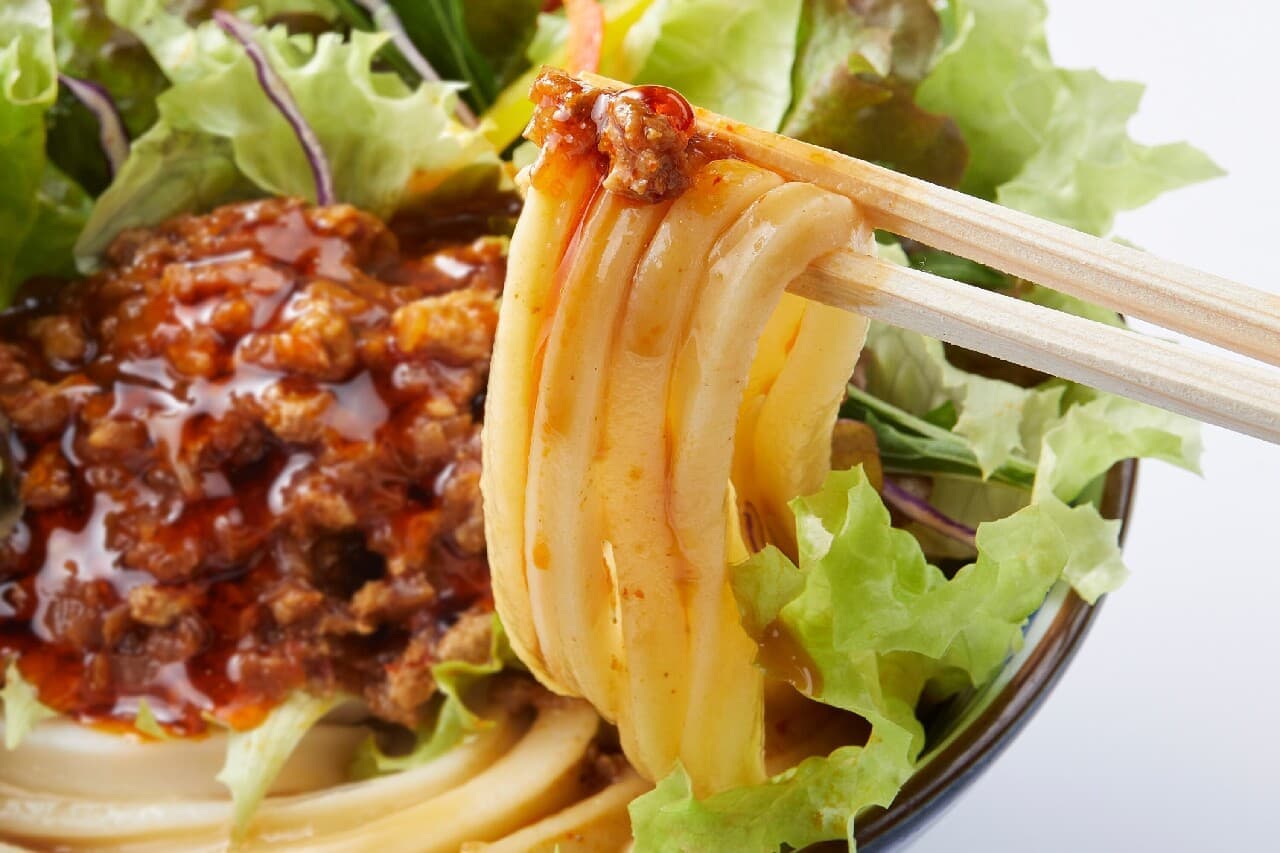 Marugame Seimen "Spicy Tangy Salad Udon