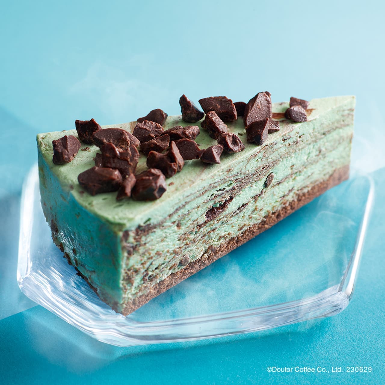 Excelsior Cafe "Choco Mint Ice Cream Cake