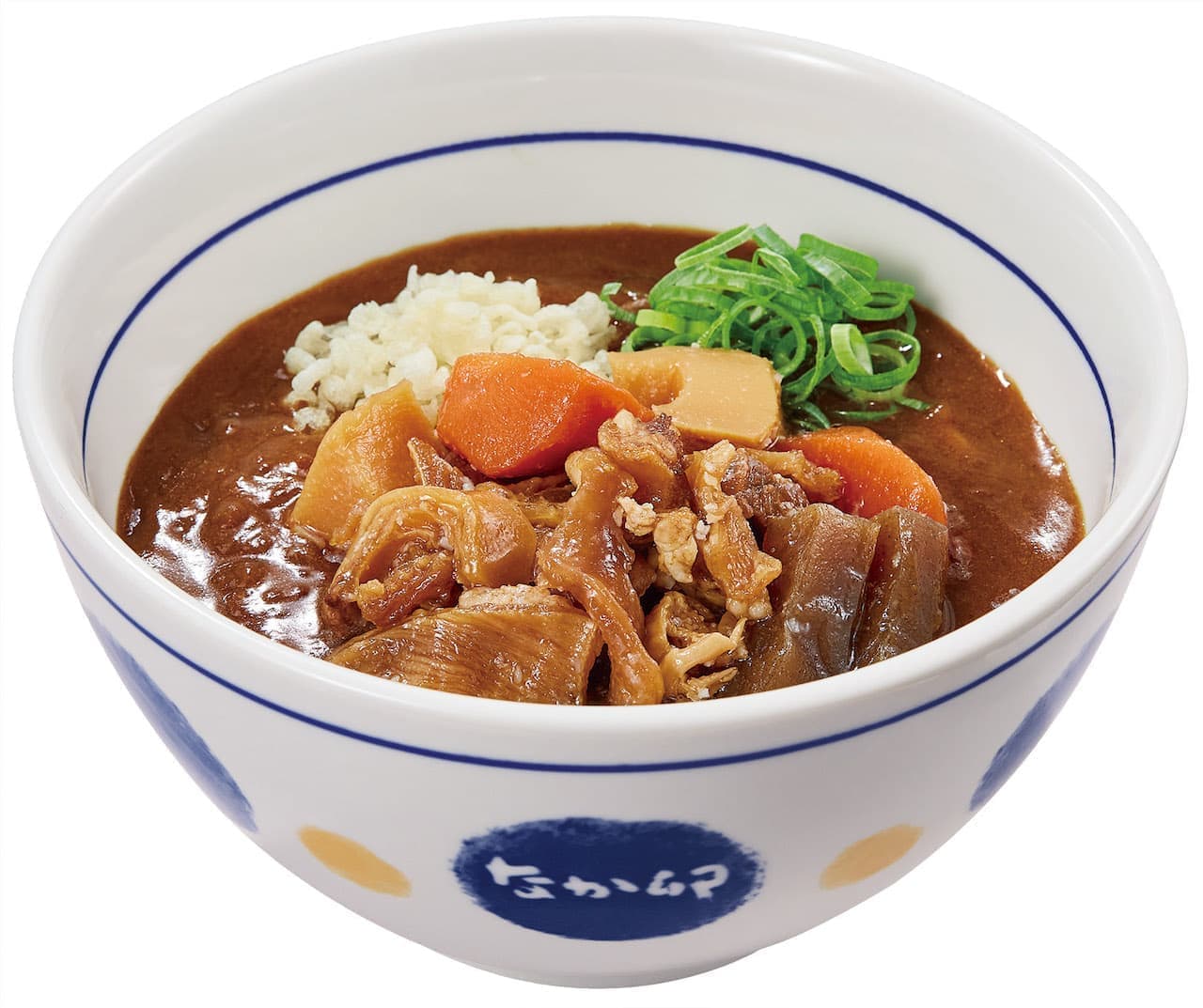 Nakau Japanese-style Bokkake Curry Udon