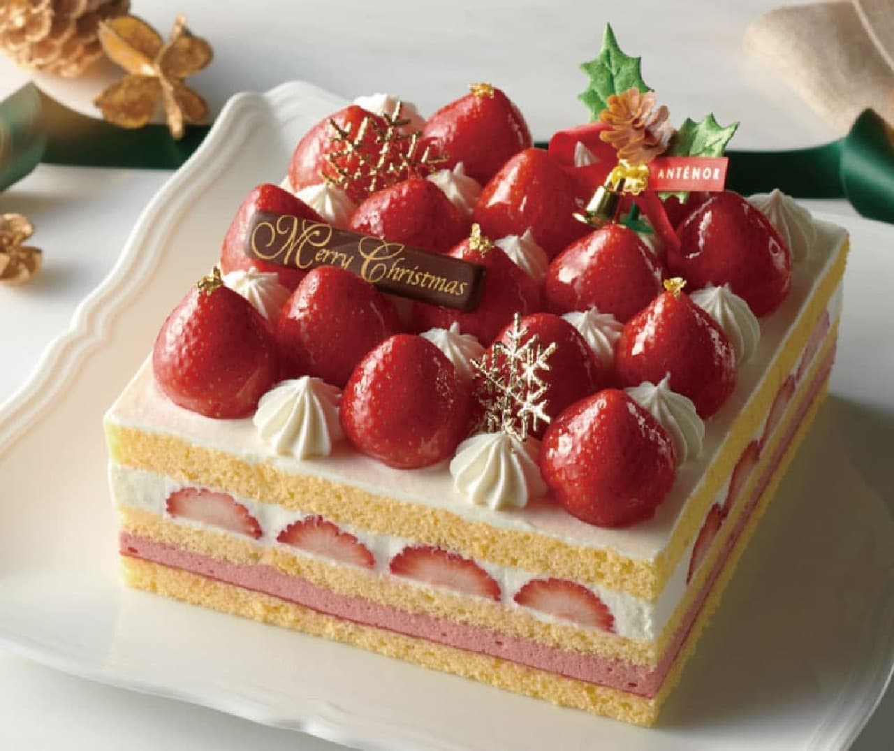 Antenor 2023 Christmas Cake