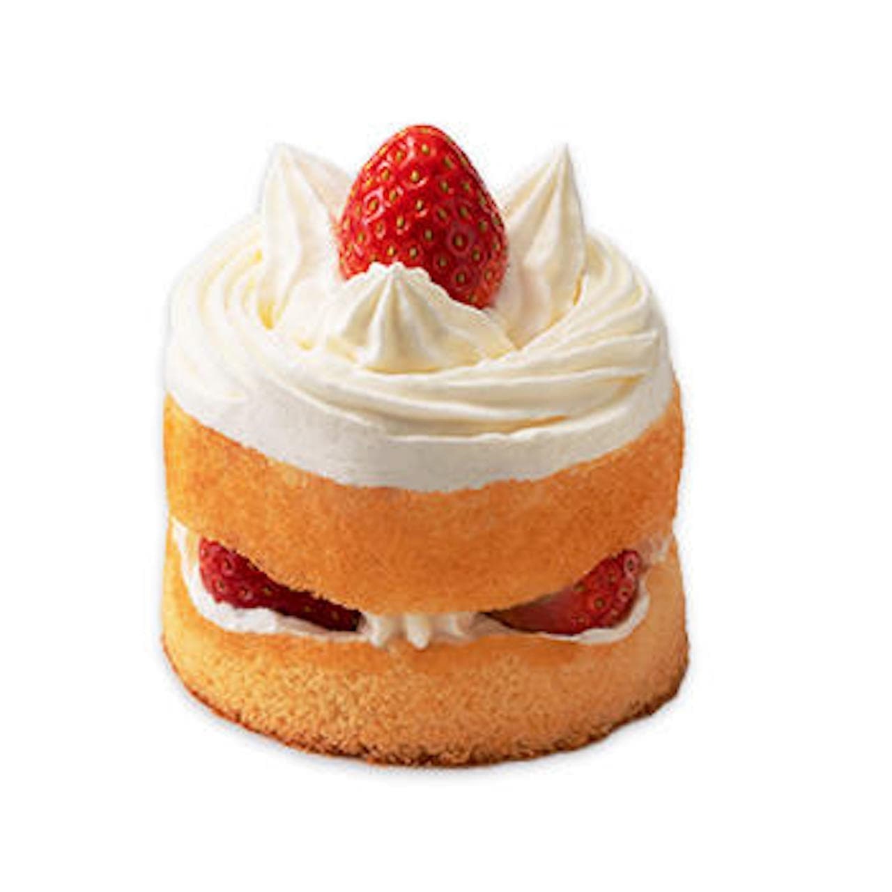 Fujiya "Taste of Tradition: Fujiya's Shortcake".