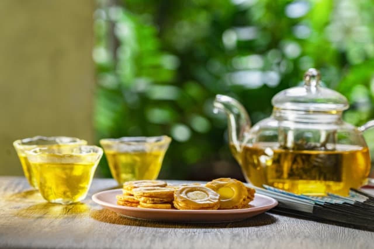 煎茶/ほうじ茶/紅茶の効能を比較