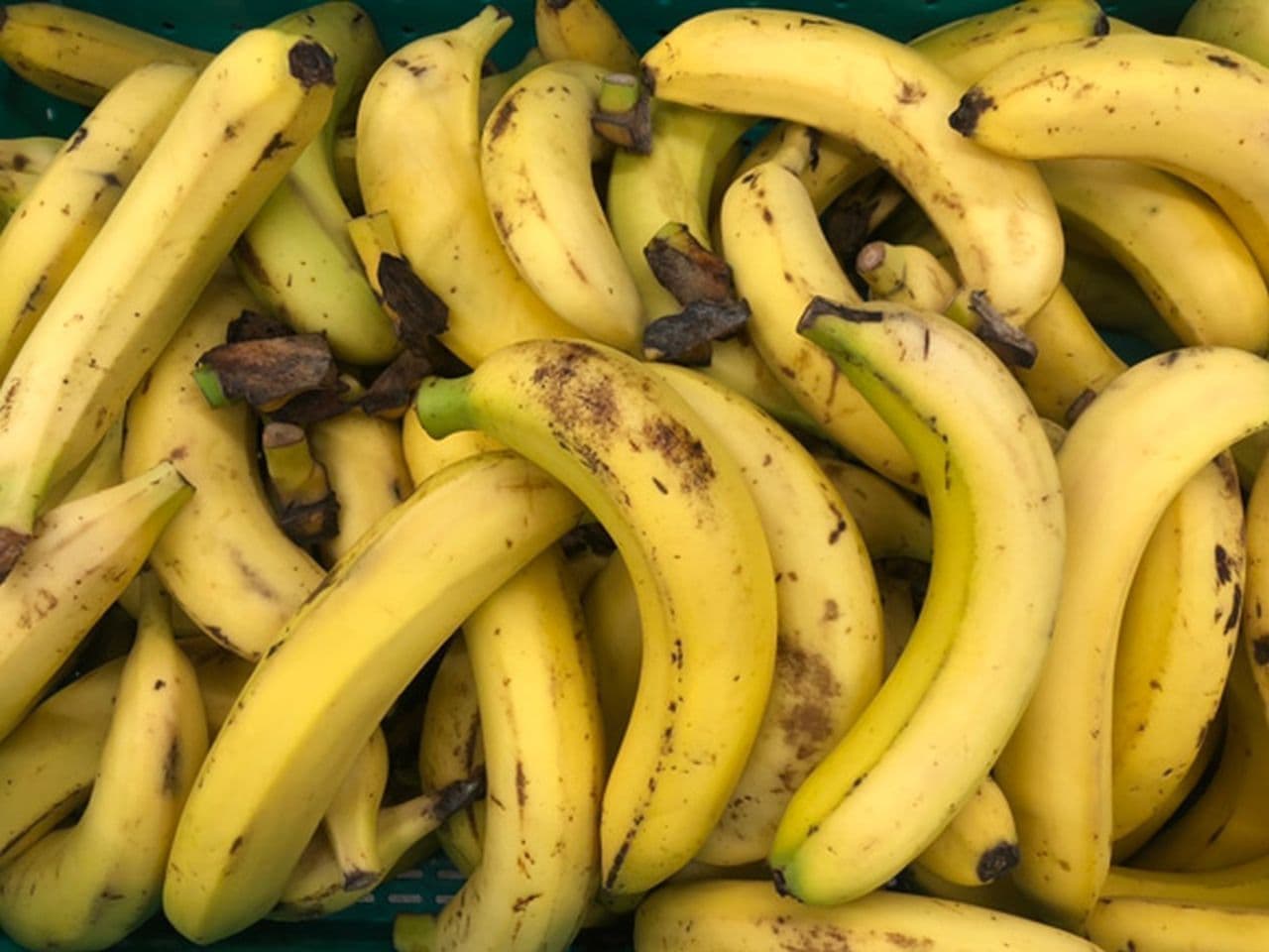 banana waste
