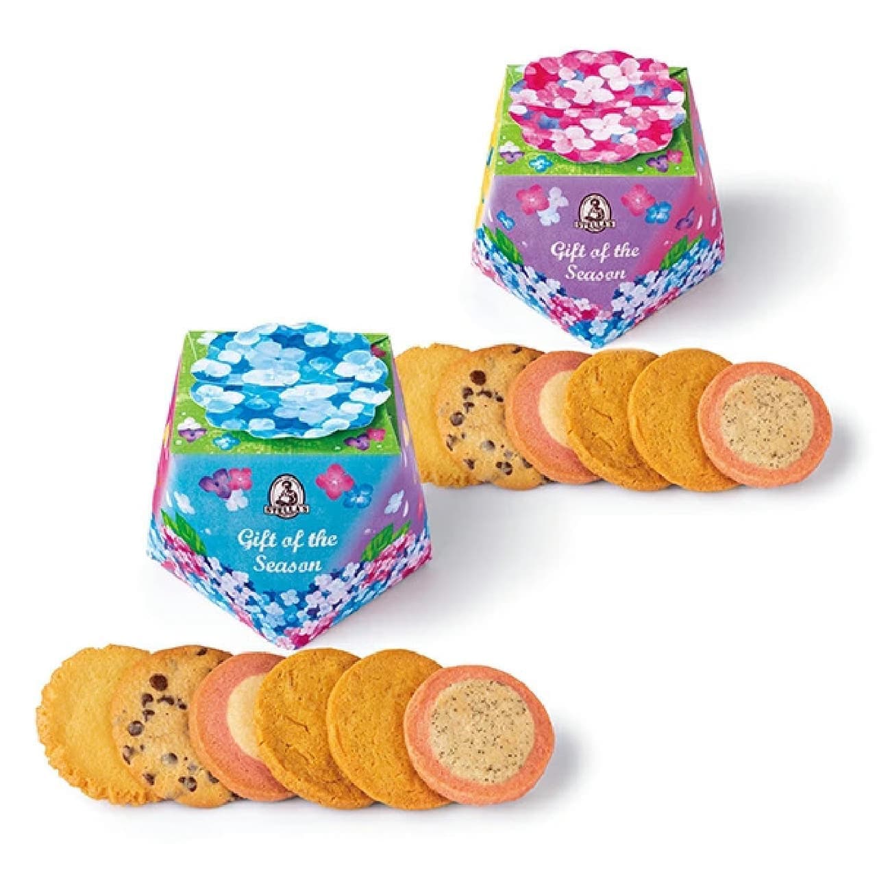 Antostella] Perfect for small summer gifts! Featured Cookie Gifts for Gift Giving