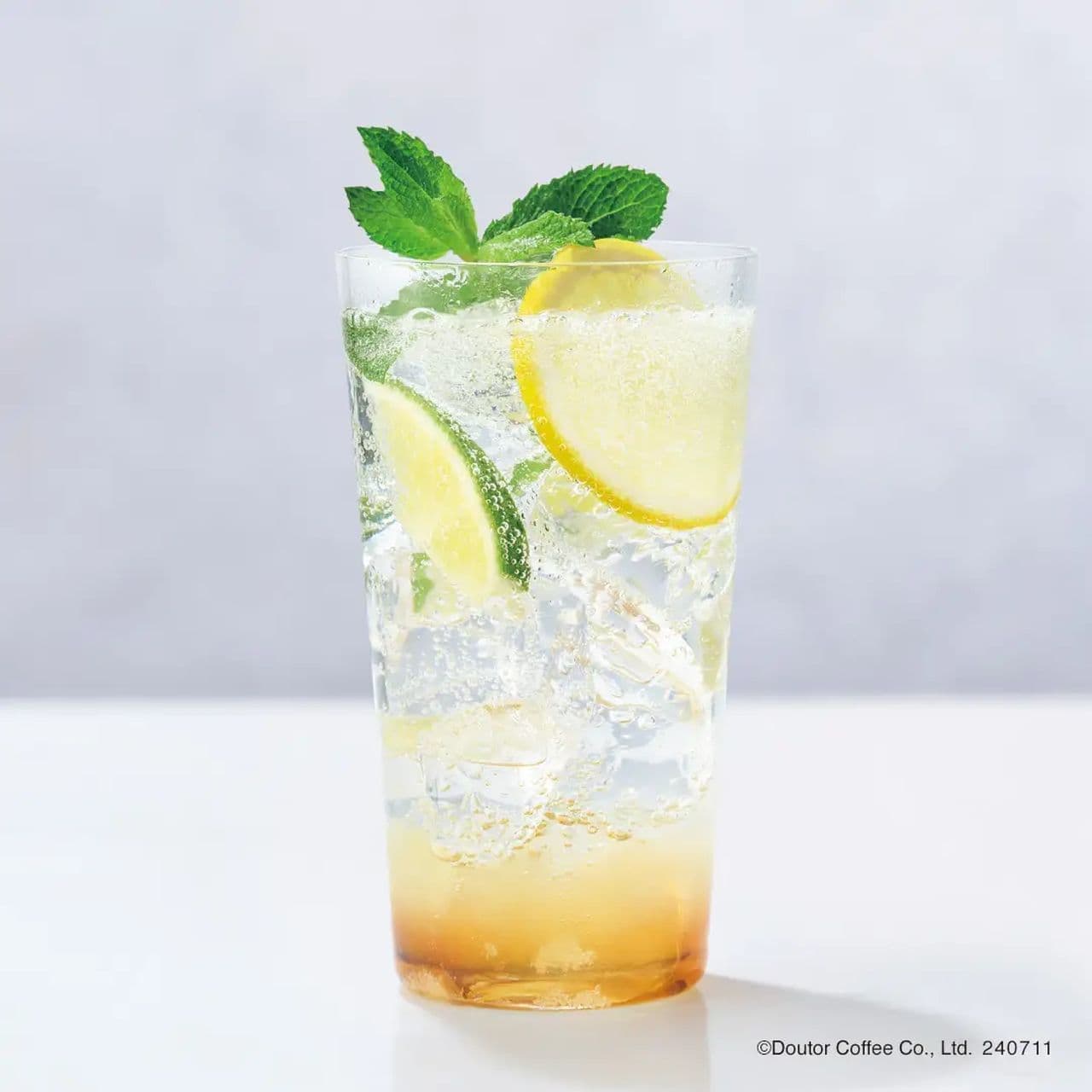 Excelsior Cafe "Citrus Mojito with Elderflower
