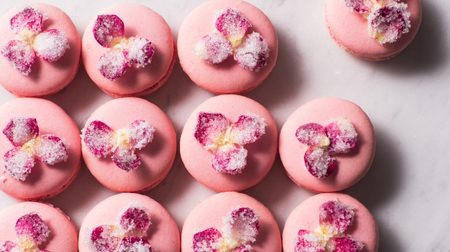 Do you want to be given rather than given? "Rose Macaron" decorated with rose flowers --At Park Hyatt Tokyo